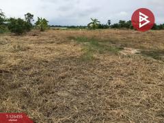 ขายที่ดินเปล่า เนื้อที่ 2 ไร่ บางปลาม้า สุพรรณบุรี ทำเลดีฯ-202511121433561762932836203.jpg