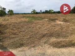 ขายที่ดินเปล่า เนื้อที่ 2 ไร่ บางปลาม้า สุพรรณบุรี ทำเลดีฯ-202511121433561762932836747.jpg