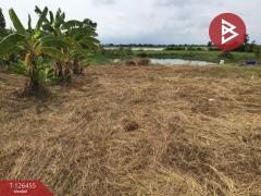 ขายที่ดินเปล่า เนื้อที่ 2 ไร่ บางปลาม้า สุพรรณบุรี ทำเลดีฯ-202511121433571762932837286.jpg