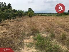 ขายที่ดินเปล่า เนื้อที่ 2 ไร่ บางปลาม้า สุพรรณบุรี ทำเลดีฯ-202511121433571762932837828.jpg