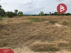 ขายที่ดินเปล่า เนื้อที่ 2 ไร่ บางปลาม้า สุพรรณบุรี ทำเลดีฯ-202511121433581762932838638.jpg