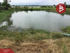 ขายที่ดินเปล่า เนื้อที่ 2 ไร่ บางปลาม้า สุพรรณบุรี ทำเลดีฯ-202511121433591762932839174.jpg