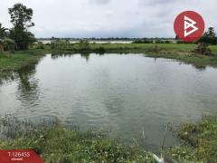 ขายที่ดินเปล่า เนื้อที่ 2 ไร่ บางปลาม้า สุพรรณบุรี ทำเลดีฯ-202511121433591762932839702.jpg