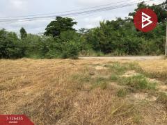 ขายที่ดินเปล่า เนื้อที่ 2 ไร่ บางปลาม้า สุพรรณบุรี ทำเลดีฯ-202511121434001762932840234.jpg