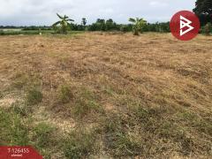 ขายที่ดินเปล่า เนื้อที่ 2 ไร่ บางปลาม้า สุพรรณบุรี ทำเลดีฯ-202511121434001762932840770.jpg