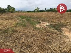 ขายที่ดินเปล่า เนื้อที่ 2 ไร่ บางปลาม้า สุพรรณบุรี ทำเลดีฯ-202511121434011762932841304.jpg