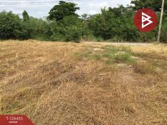 ขายที่ดินเปล่า เนื้อที่ 2 ไร่ บางปลาม้า สุพรรณบุรี ทำเลดีฯ-202511121434011762932841841.jpg