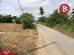 ขายที่ดินเปล่า เนื้อที่ 2 ไร่ บางปลาม้า สุพรรณบุรี ทำเลดีฯ-202511121434021762932842916.jpg