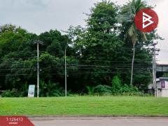 ขายที่ดินแปลงสวย-เนื้อที่-1-ไร่-3-งาน-60