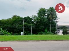 ขายที่ดินแปลงสวย เนื้อที่ 1 ไร่ 3 งาน 60 ตารางวา พิษณุโลก ติดถนนพิษณุโลก-บางระกำ-202511121443431762933423192.jpg