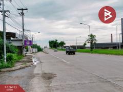 ขายที่ดินแปลงสวย เนื้อที่ 1 ไร่ 3 งาน 60 ตารางวา พิษณุโลก ติดถนนพิษณุโลก-บางระกำ-202511121443441762933424847.jpg