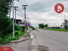 ขายที่ดินแปลงสวย เนื้อที่ 1 ไร่ 3 งาน 60 ตารางวา พิษณุโลก ติดถนนพิษณุโลก-บางระกำ-202511121443451762933425391.jpg