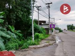 ขายที่ดินแปลงสวย เนื้อที่ 1 ไร่ 3 งาน 60 ตารางวา พิษณุโลก ติดถนนพิษณุโลก-บางระกำ-202511121443461762933426472.jpg