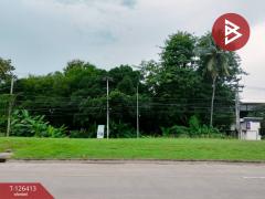 ขายที่ดินแปลงสวย เนื้อที่ 1 ไร่ 3 งาน 60 ตารางวา พิษณุโลก ติดถนนพิษณุโลก-บางระกำ-202511121443471762933427015.jpg