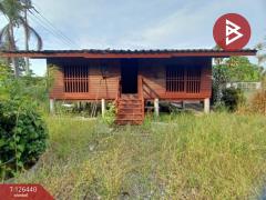  ให้เช่า บ้านเดี่ยวพร้อมที่ดิน เนื้อที่ 3 งาน 93 ตารางวา ท่าไข่ ฉะเชิงเทรา-202511121450581762933858275.jpg