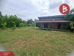 ขายที่ดินพร้อมสิ่งปลูกสร้าง เนื้อที่ 3 งาน 88 ตร.วา บางคล้า ฉะเชิงเทรา-202511121456561762934216289.jpg