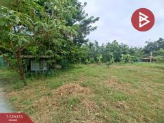 ขายที่ดินพร้อมสิ่งปลูกสร้าง เนื้อที่ 3 งาน 88 ตร.วา บางคล้า ฉะเชิงเทรา-202511121457001762934220501.jpg