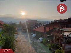 ขายรีสอร์ท เนื้อที่ 2 งาน 50 ตร.วา เชียงคำ พะเยา-202511121527341762936054444.jpg