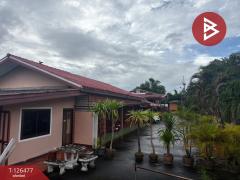 ขายรีสอร์ท เนื้อที่ 2 งาน 50 ตร.วา เชียงคำ พะเยา-202511121527371762936057962.jpg