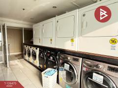 ขาย/เช่าคอนโดมิเนียม ลุมพินี เพลส พระราม4-กล้วยน้ำไท (Lumpini Place Rame4-Kluaynamthai)-202511121600571762938057696.jpg