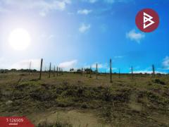 ขายที่ดินถมแล้ว เนื้อที่ 2 ไร่ 30 ตร.วา ถนนผดุงพันธ์ หนองจอก กรุงเทพมหานคร-202511121610071762938607946.jpg