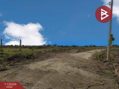 ขายที่ดินถมแล้ว เนื้อที่ 2 ไร่ 30 ตร.วา ถนนผดุงพันธ์ หนองจอก กรุงเทพมหานคร-202511121610091762938609028.jpg