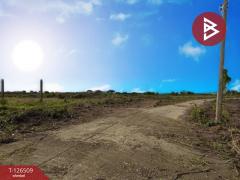 ขายที่ดินถมแล้ว เนื้อที่ 2 ไร่ 30 ตร.วา ถนนผดุงพันธ์ หนองจอก กรุงเทพมหานคร-202511121610091762938609564.jpg