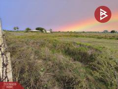 ขายที่ดินถมแล้ว เนื้อที่ 2 ไร่ 30 ตร.วา ถนนผดุงพันธ์ หนองจอก กรุงเทพมหานคร-202511121610101762938610102.jpg