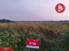 ขายที่ดิน-เนื้อที่-3-งาน-90.3-ตารางวา-ดอ