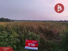 ขายที่ดิน เนื้อที่ 3 งาน 90.3 ตารางวา ดอนตูม นครปฐม-202511121624551762939495100.jpg