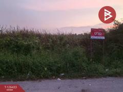 ขายที่ดิน เนื้อที่ 3 งาน 90.3 ตารางวา ดอนตูม นครปฐม-202511121624551762939495644.jpg