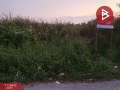 ขายที่ดิน เนื้อที่ 3 งาน 90.3 ตารางวา ดอนตูม นครปฐม-202511121624561762939496177.jpg