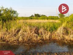 ขายที่ดิน เนื้อที่ 3 งาน 90.3 ตารางวา ดอนตูม นครปฐม-202511121624571762939497244.jpg