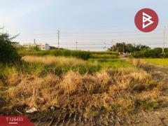 ขายที่ดิน เนื้อที่ 3 งาน 90.3 ตารางวา ดอนตูม นครปฐม-202511121624581762939498328.jpg