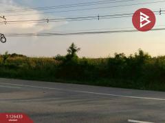 ขายที่ดิน เนื้อที่ 3 งาน 90.3 ตารางวา ดอนตูม นครปฐม-202511121624591762939499405.jpg