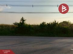 ขายที่ดิน เนื้อที่ 3 งาน 90.3 ตารางวา ดอนตูม นครปฐม-202511121624591762939499937.jpg