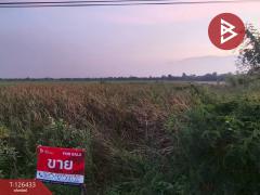 ขายที่ดิน เนื้อที่ 3 งาน 90.3 ตารางวา ดอนตูม นครปฐม-202511121625001762939500469.jpg