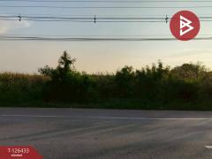 ขายที่ดิน เนื้อที่ 3 งาน 90.3 ตารางวา ดอนตูม นครปฐม-202511121625011762939501008.jpg