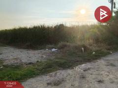 ขายที่ดิน เนื้อที่ 3 งาน 90.3 ตารางวา ดอนตูม นครปฐม-202511121625011762939501563.jpg