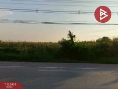 ขายที่ดิน เนื้อที่ 3 งาน 90.3 ตารางวา ดอนตูม นครปฐม-202511121625021762939502108.jpg