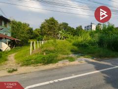 ขายที่ดิน-เนื้อที่-85-ตารางวา-ลำพญา-นค