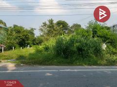 ขายที่ดิน เนื้อที่ 85 ตารางวา ลำพญา นครปฐม-202511121630321762939832060.jpg