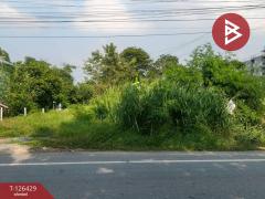 ขายที่ดิน เนื้อที่ 85 ตารางวา ลำพญา นครปฐม-202511121630321762939832597.jpg