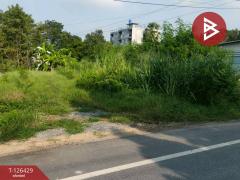 ขายที่ดิน เนื้อที่ 85 ตารางวา ลำพญา นครปฐม-202511121630331762939833672.jpg