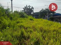 ขายที่ดิน เนื้อที่ 85 ตารางวา ลำพญา นครปฐม-202511121630341762939834208.jpg