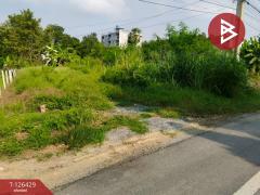 ขายที่ดิน เนื้อที่ 85 ตารางวา ลำพญา นครปฐม-202511121630341762939834743.jpg