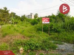 ขายที่ดิน เนื้อที่ 85 ตารางวา ลำพญา นครปฐม-202511121630351762939835279.jpg