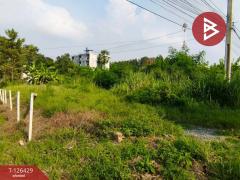 ขายที่ดิน เนื้อที่ 85 ตารางวา ลำพญา นครปฐม-202511121630351762939835813.jpg