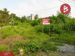 ขายที่ดิน เนื้อที่ 85 ตารางวา ลำพญา นครปฐม-202511121630361762939836355.jpg