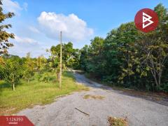 ขายด่วนที่ดิน เนื้อที่ 2 ไร่ 39 ตารางวา หมู่บ้านคันทรีการ์เด้น คลองสาม ปทุมธานี-202511121716071762942567831.jpg